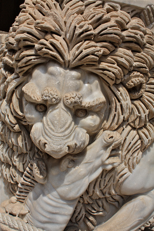 Lion/Horse Marble Statue Musei Vaticani Museum Rome Italy #182