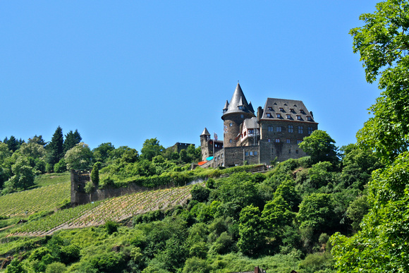 Burg Stahlech Castle/Rhine River Cruise