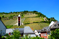Vineyards Along the Rhine River