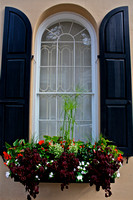 Window Flowerbox w/Black Shutters