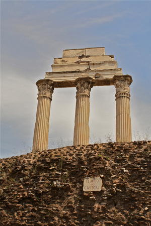 Pillars of the Temple of Castor & Pollux #38