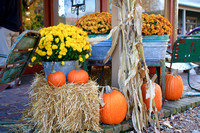 Decorations of Fall