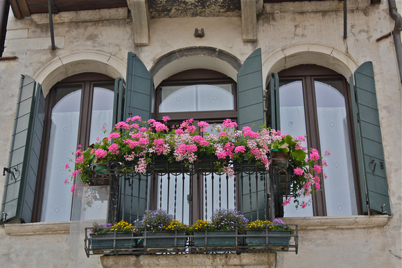 Pink Flower Window Boxes w/Green Shutters Venice Italy #245