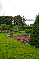 Cawdor Castle gardens/pink flowers