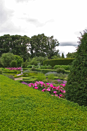 Cawdor Castle gardens/pink flowers