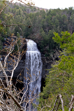 Fall Creek Falls Thru the Trees