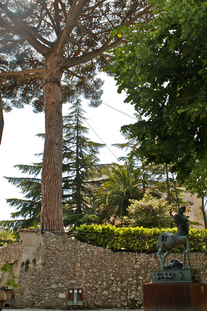 Tree/Statue of Ravello Italy #276