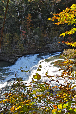 Burgess Falls Stream