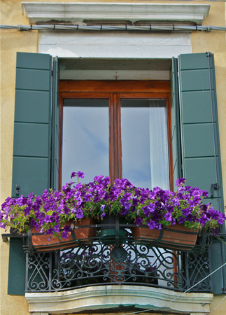Purple Flower Window Box #211