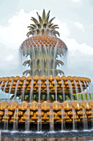 Pineapple Fountain