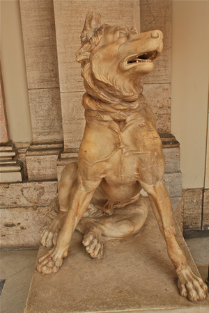 Dog Marble Sculpture Musei Vaticani Museum Rome Italy #188