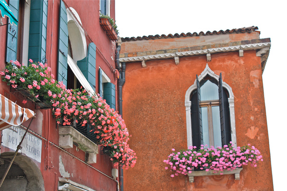 Pink Flower Window Boxes Murano Italy #303