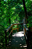 Wooden Bridge Pathway
