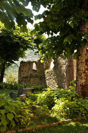 Quiet in the Garden Ravello Italy #262
