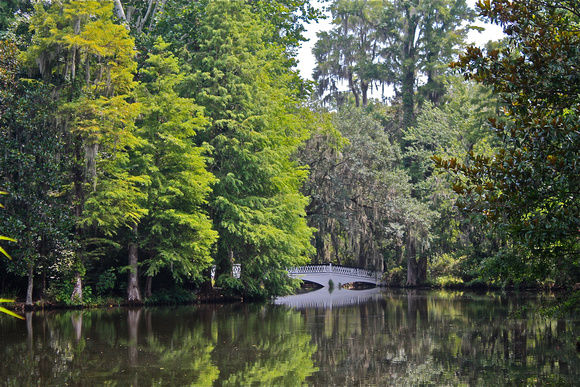 White Bridge in Swamp w/Reflection